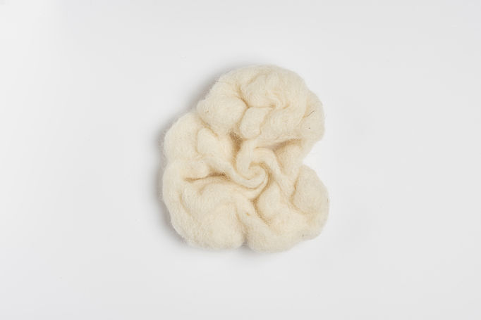 a piece of organic shaped white wool