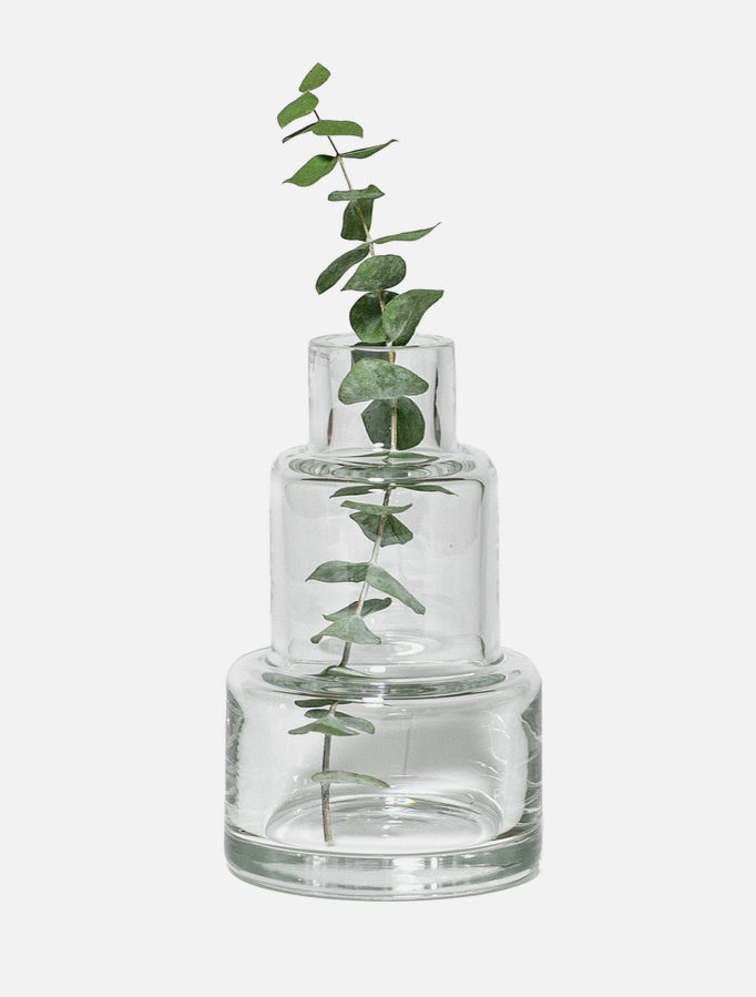 Clear glass vase with eucalyptus stem in it