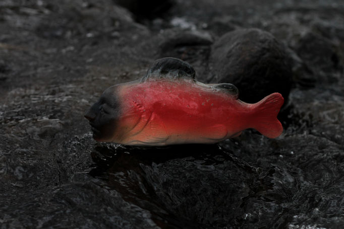 a red and black ceramic fish on dark grey rock