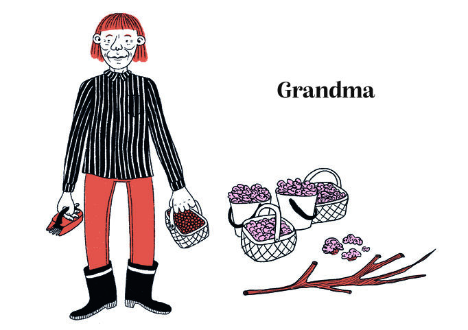 an illustration of grandma with some forest souveniers