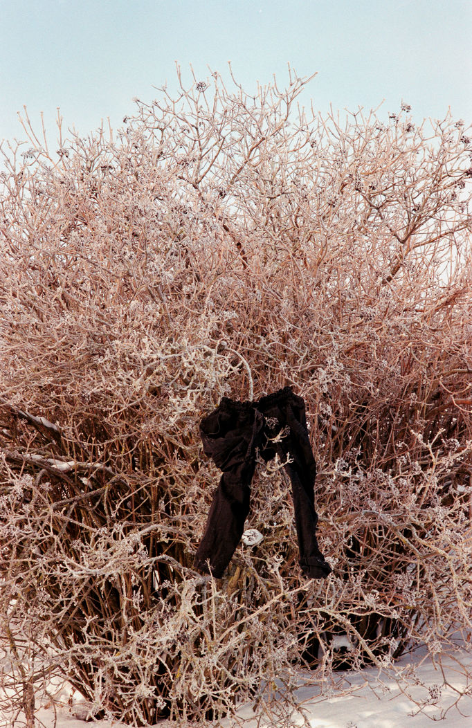 black trousers hanging in a bush