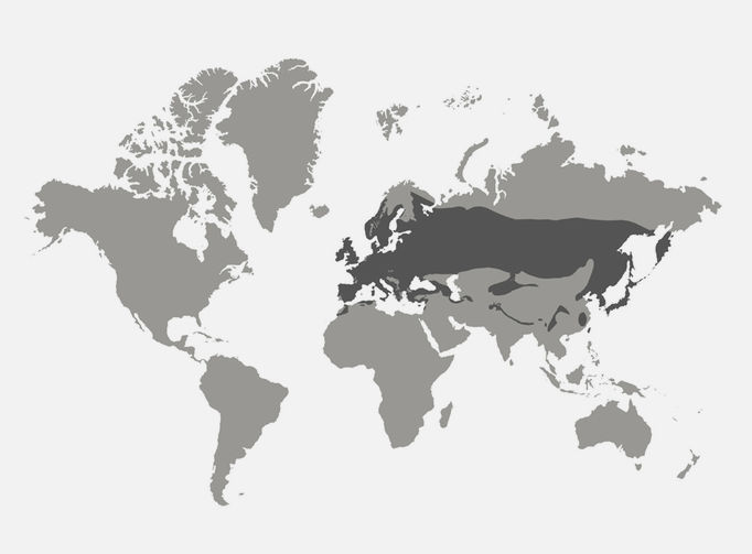 a map of where the bird lives