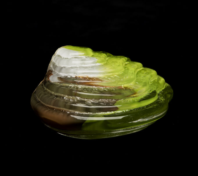 a green coloured glass piece shaped like a polypore