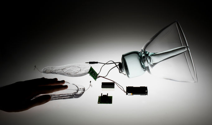 sculptural glass piece with electronics and a hand of a homo sapiens