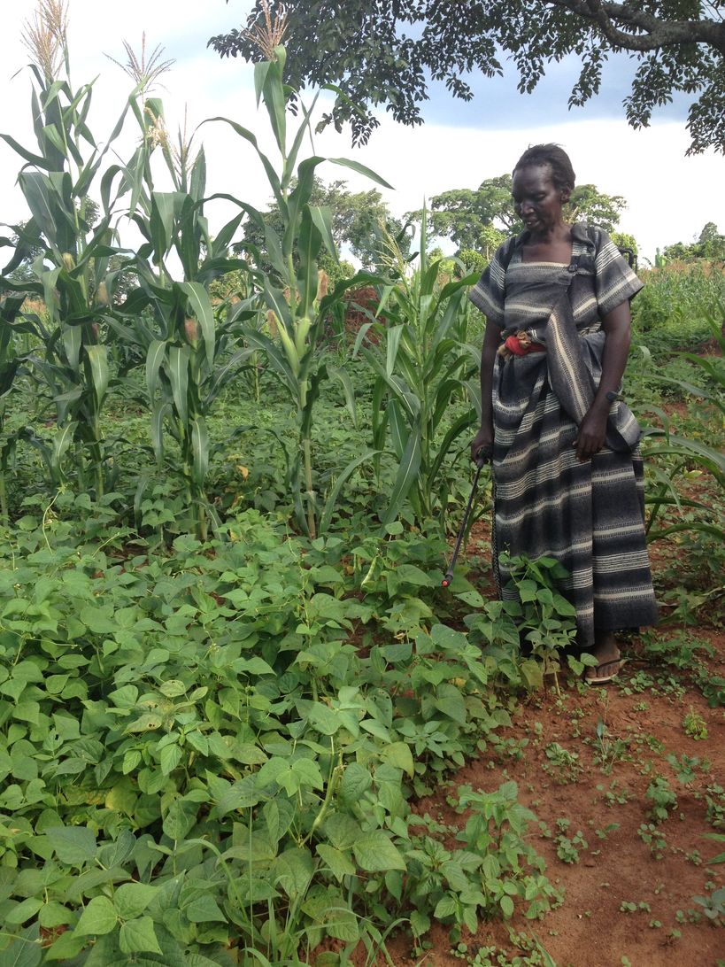 The photo shows a female farmer in Uganda. Photo: Vida Bobić.