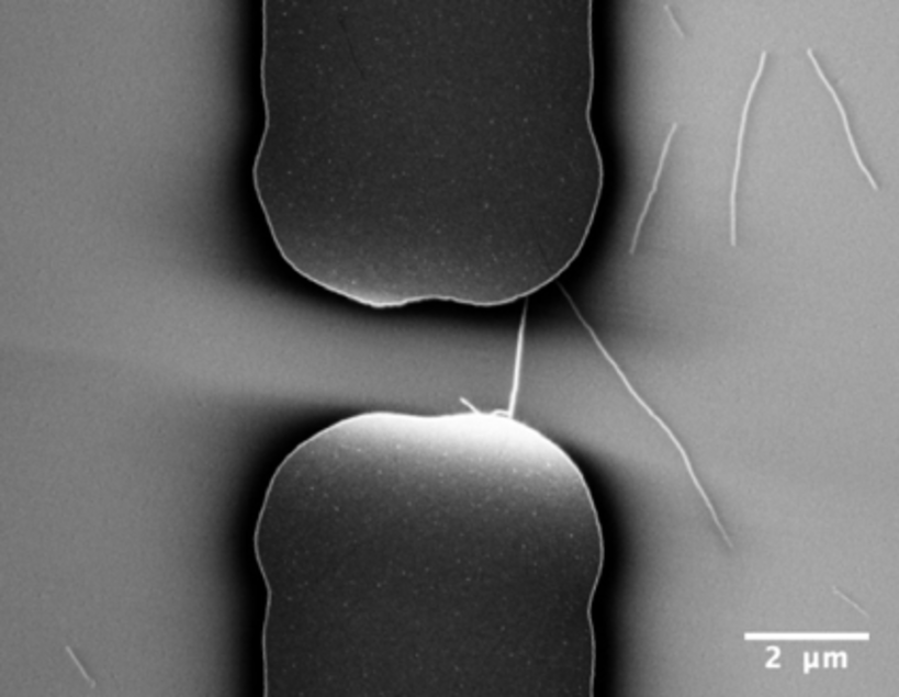 electron microscope image of nanotubes in a transistor