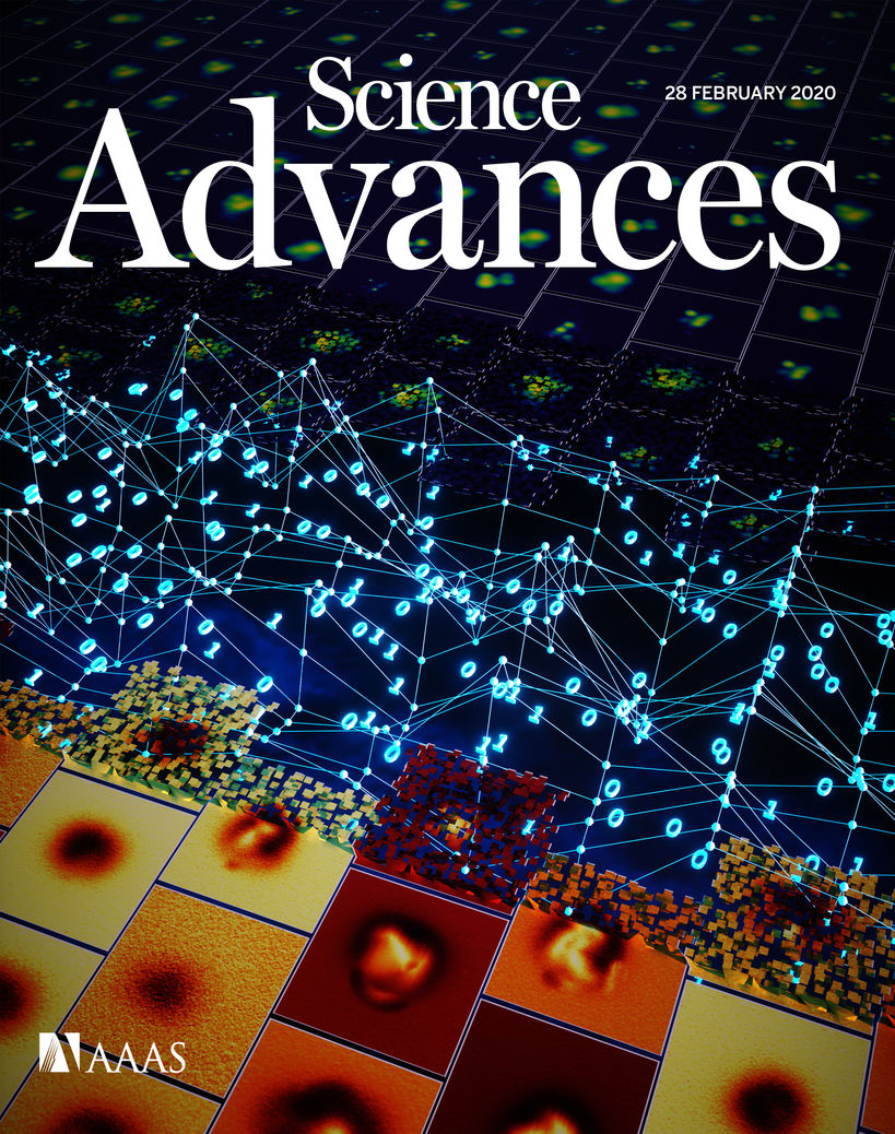 Cover image of the journal, featuring the researchers work