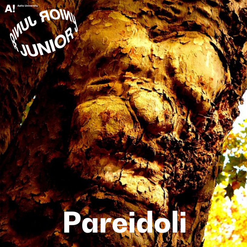 Aalto Junior instruction image on Pareidolia