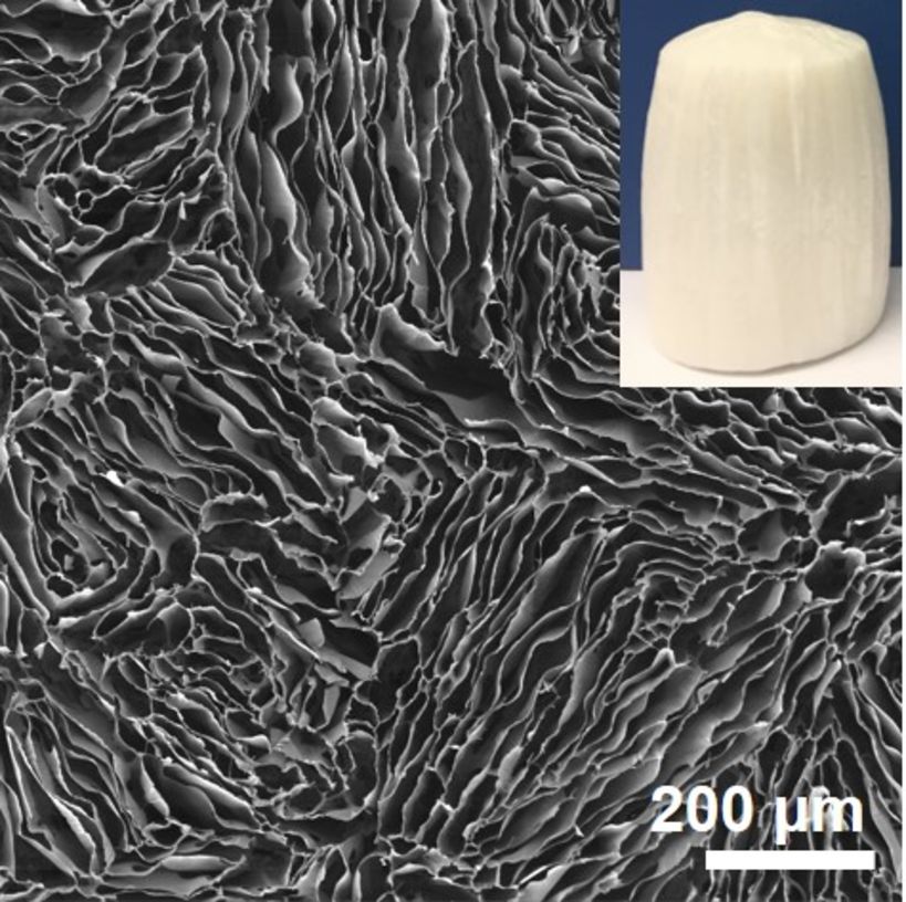 SEM image and photo of pectin cryogel. Image by Aalto University, Fangxin Zou
