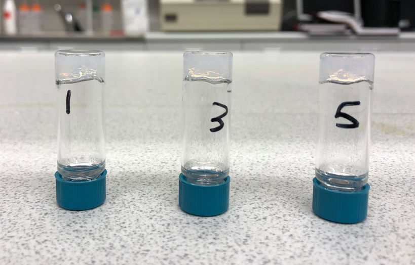 Small glass vials (laboratory test tubes)