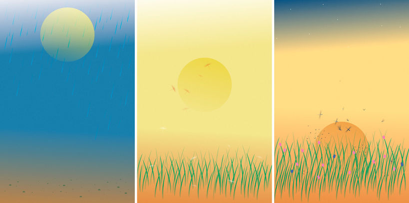 Three-panel graphic showing 1 rain, 2 growing grass under the sun, and 3 flowering plants under a setting sun