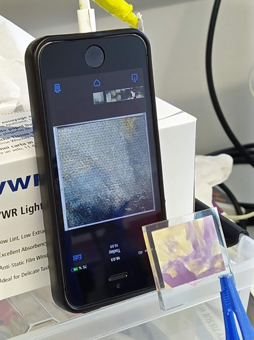 Comparing painted solar cell to a photo of an artwork displayed on a smartphone screen