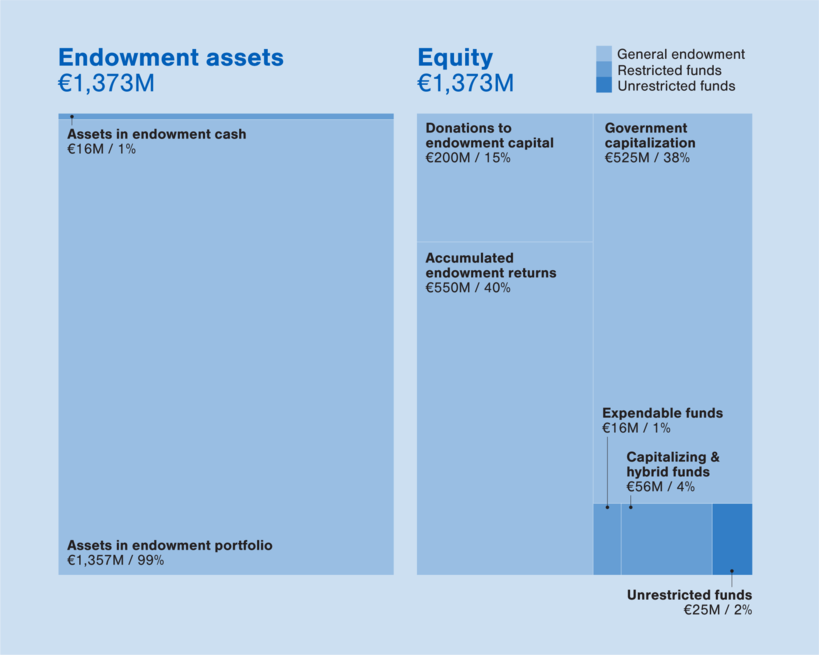 Endowment and equity graphs