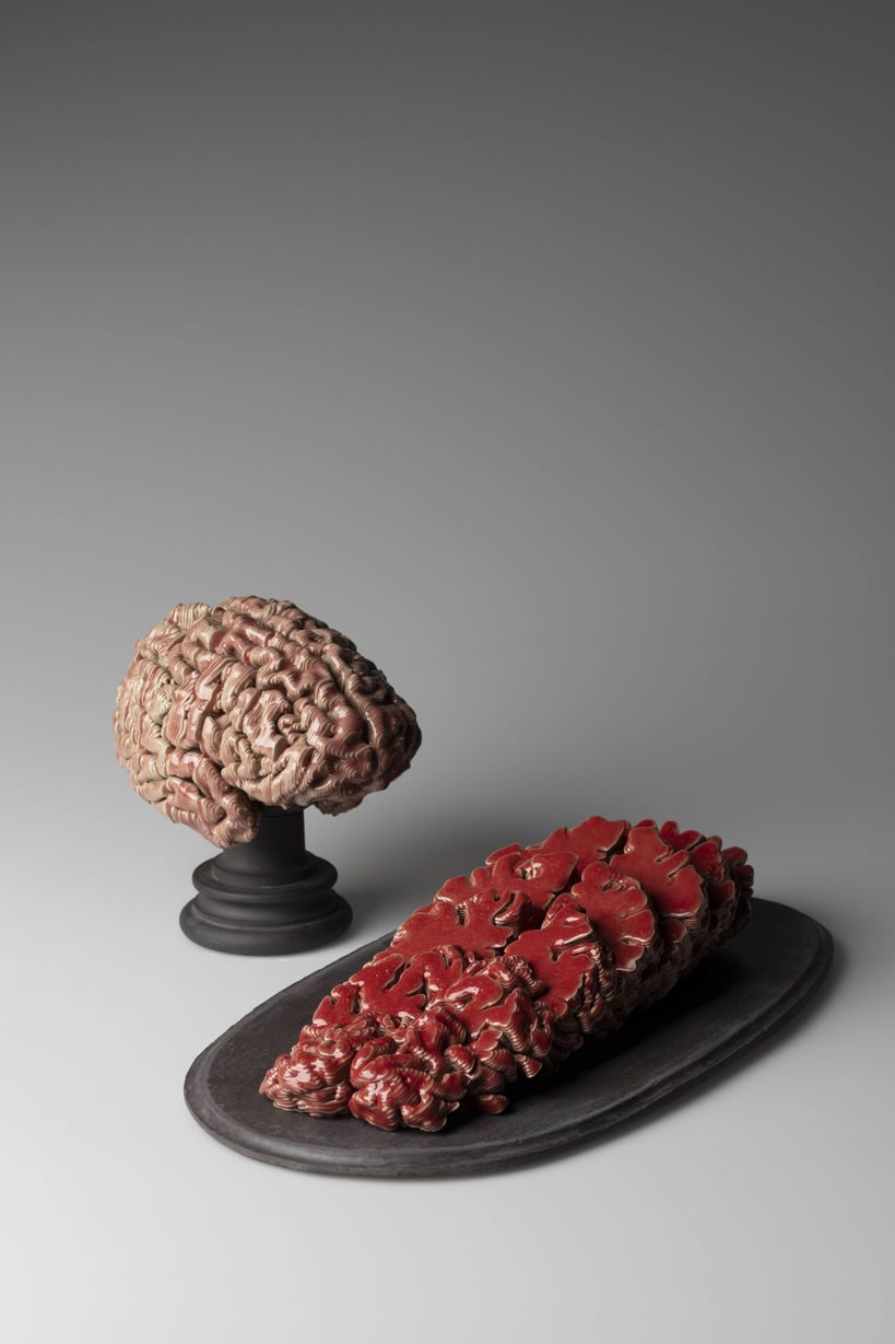 3d printed ceramic sculptures representing human brain and meat