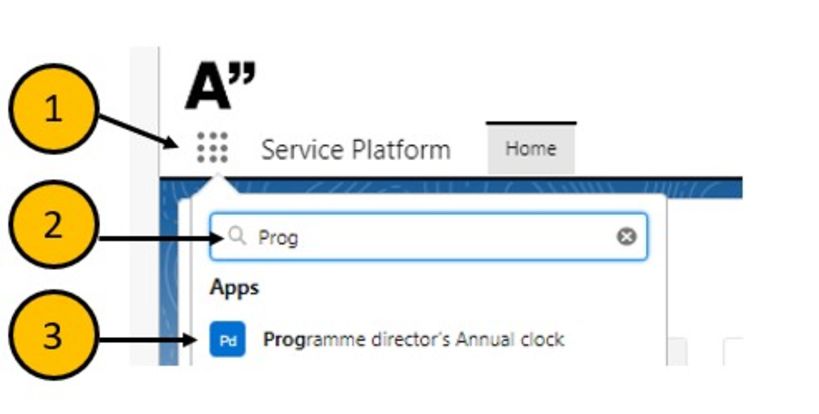 How to find Programme director's annual clock in service platform