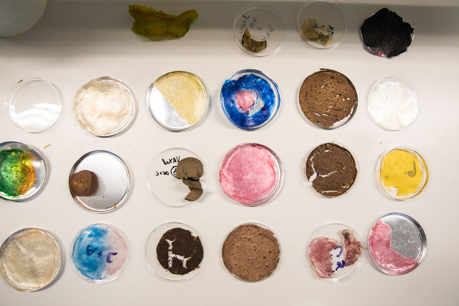 Petrimaljoissa on erivärisiä aineita
