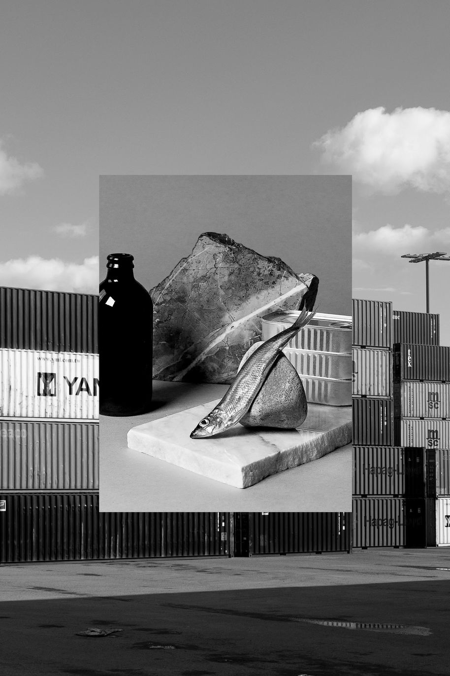a collage of photos with shipping containers alongside with a set of still life objcts such as bottle, fish and rocks, all black and white