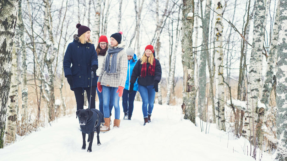 Aalto University students walking with a dog in the wintery Otaniemi.