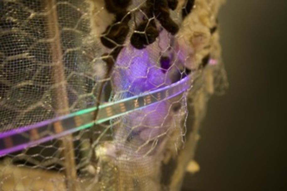 A closeup of a wire mesh and synthetic fabrics illuminated by violet and green led lights.