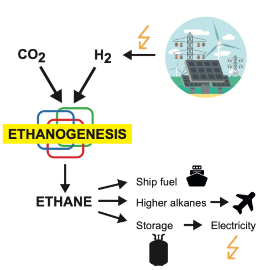 Conversion of CO2 to Ethane as a renewable ship fuel