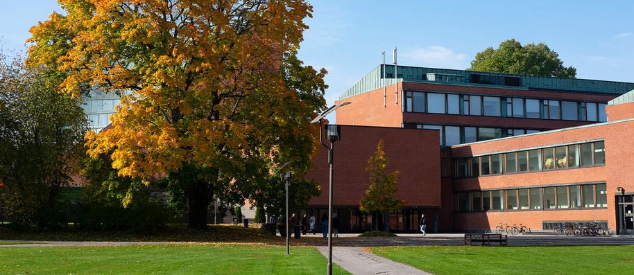 Aalto University campus in the autumn
