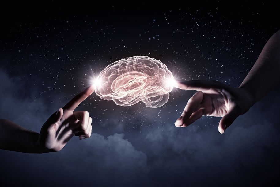 Two hands gently touching a brain. 
