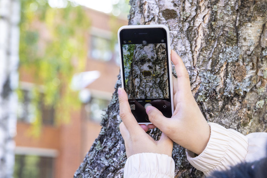 Two hands hold a smart phone while taking a close-up of a tree trunk on campus. 