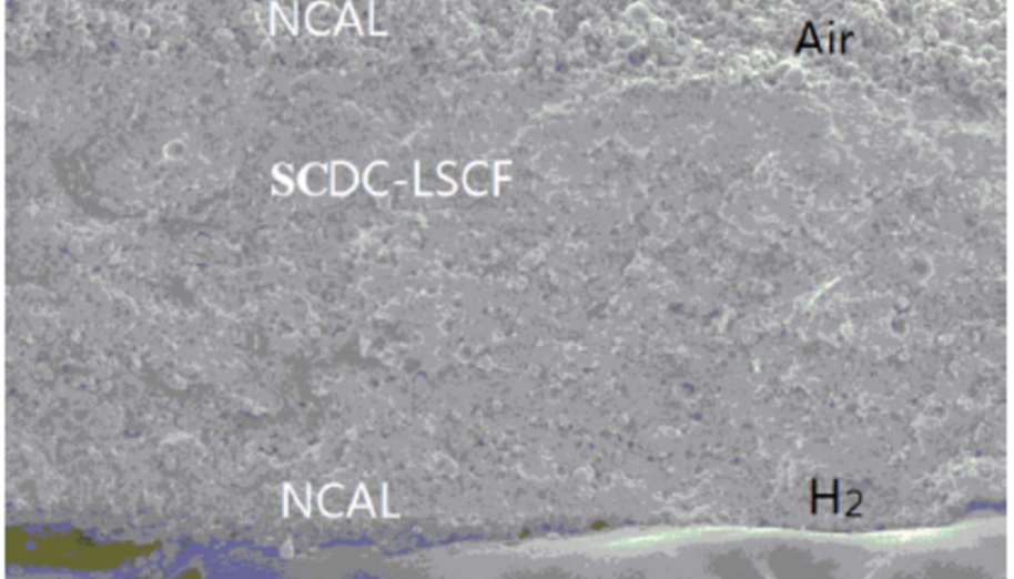 Structure of the semiconductor-ionic fuel cell. The device is constructed by sandwiching the semiconductor-ionic material La0.6Sr0.4Co0.2Fe0.8O3-δ (LSCF) and the ion conductor, Sm3+ and Ca2+ co-doped ceria (SCDC)LSCF-SCDC, between two thin semiconducting oxide Ni0.8Co0.15Al0.05Li –oxide (NCAL) layers.