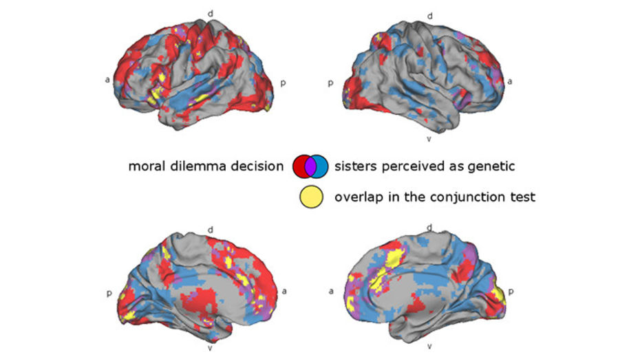 Brain activity for the two tasks of a) deciding to rescue the own sister, a friend, or strangers from a dangerous country in red and b) watching a movie believing to see genetically related sisters in blue.