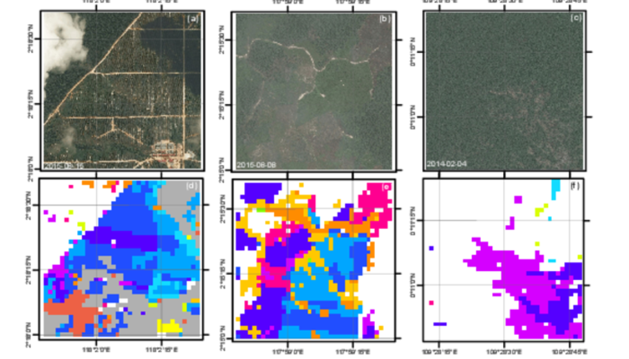 Metsäkatoa osoittavat kartakuvat (alarivi) on luotu satelliittikuvista uutta algoritmia käyttäen. Niistä ilmenee myös metsäkadon vuosittainen kehittyminen. Satelliittikuvat (ylärivi) on haettu Digital Globe -palvelusta.
