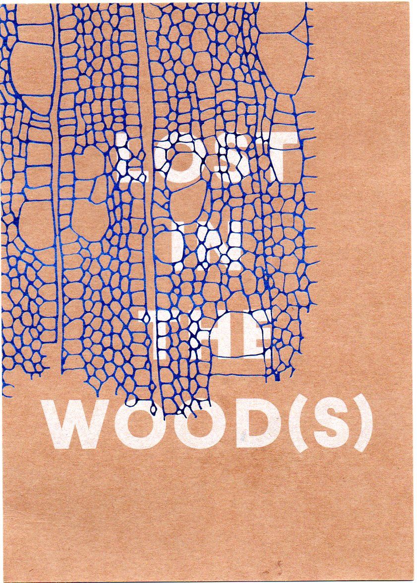 Lost in the Wood(s) book cover
