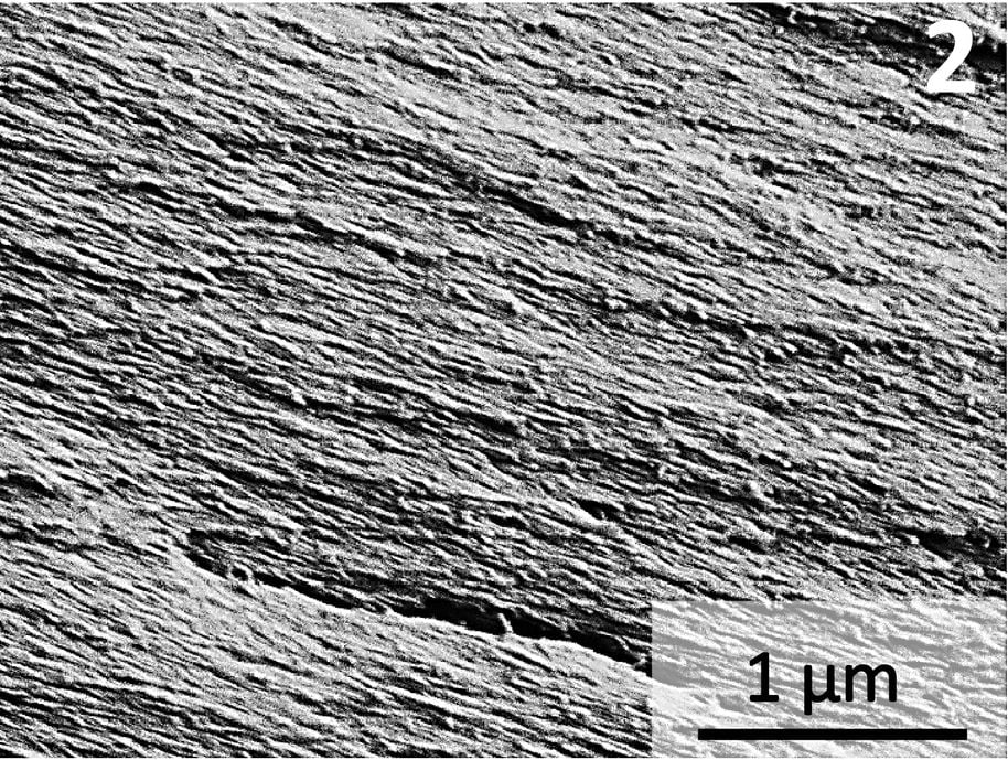 Research image of the adhesive at microscopic level
