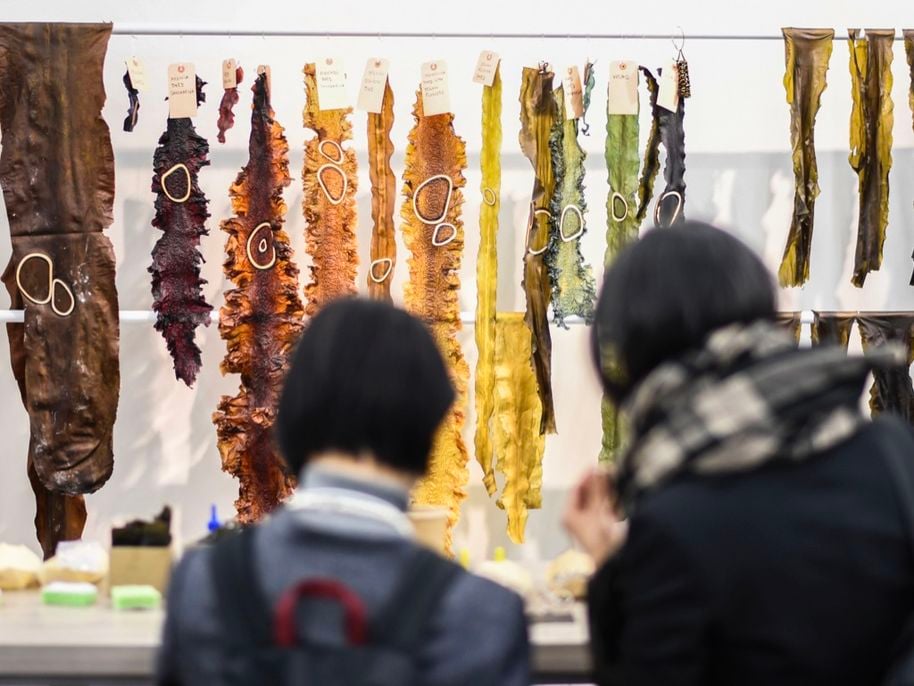 two people in the foreground looking at dyed seaweed