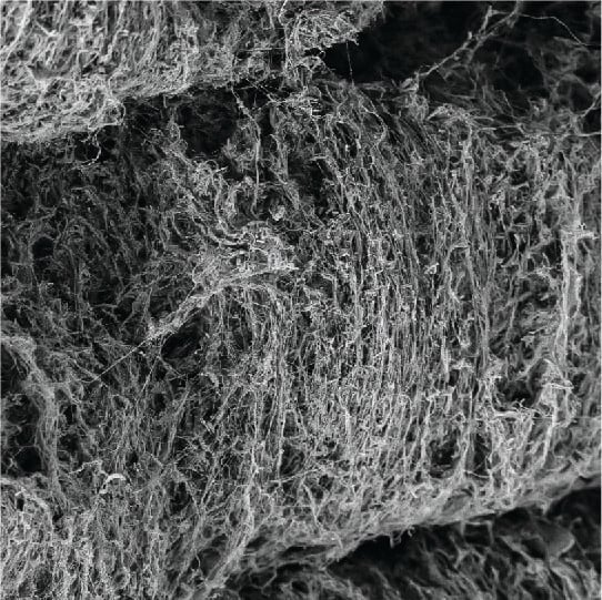 Nanocellulose fibre created by the bacteria