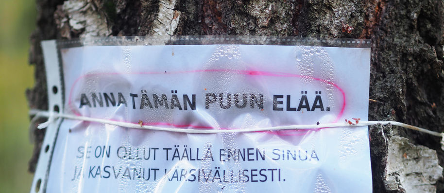 a note attached to a tree that says "let this tree live, it was here before you and has grown patiently"