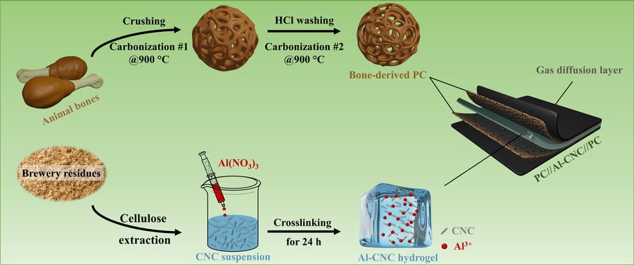 Conversion of biowaste into porous carbon and cellulose nanocrystals and their assembly into flexible supercapacitor. Image by Aalto University, Yazan Al Haj