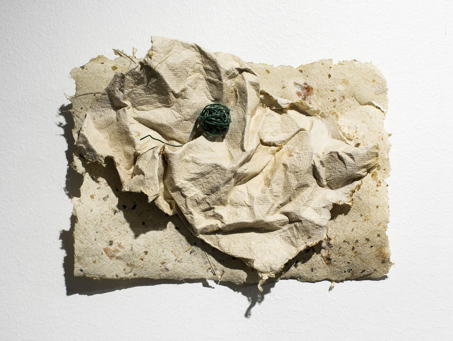 a paper like organic shaped sculpture on a white surface