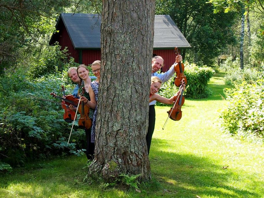 Polyteknikkojen orkesterin jousikvintetin soittajat kurkistavat kesäisessä maisemassa suuren puun takaa
