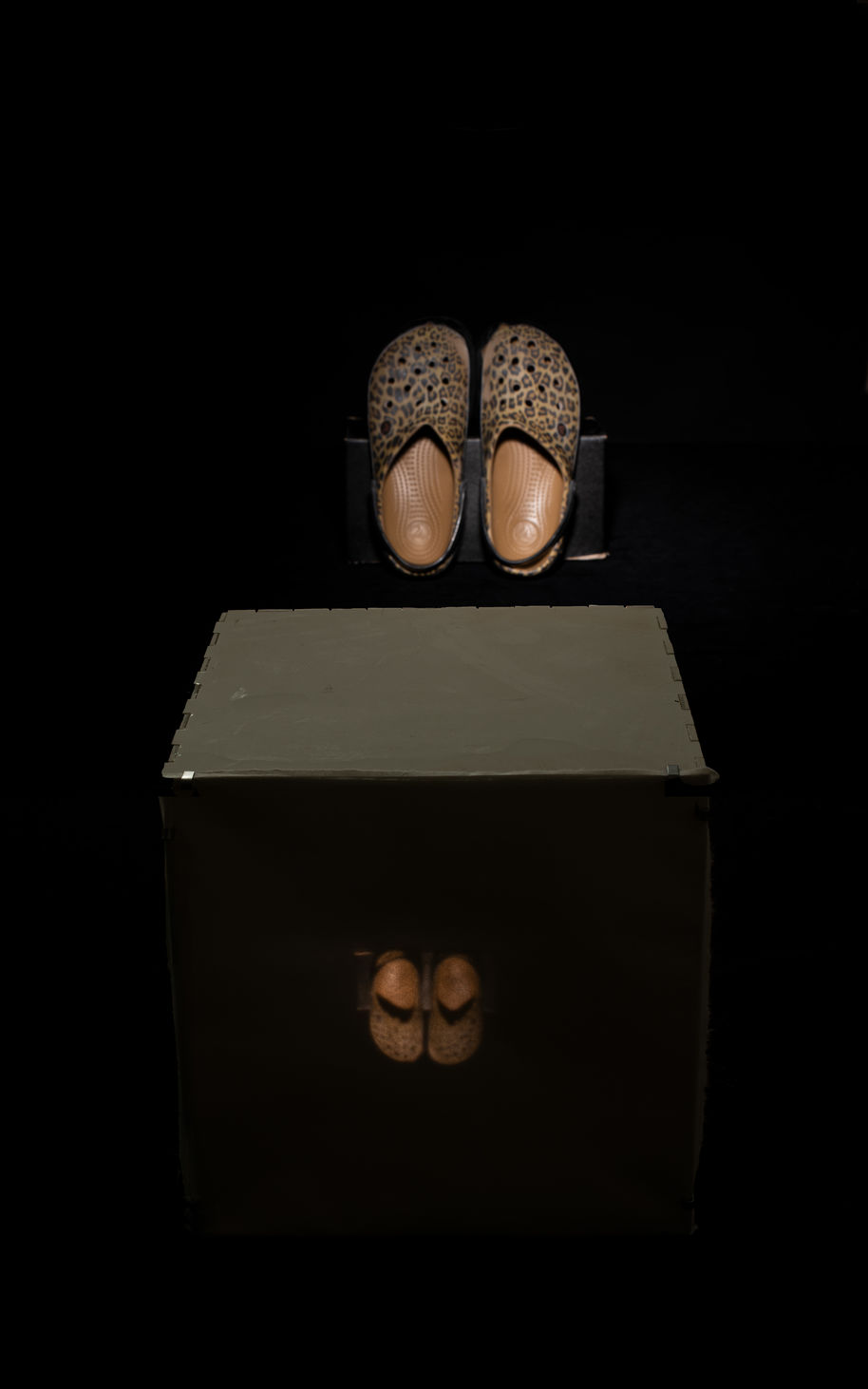 Workshoes projected on a surface by camera obscura technique