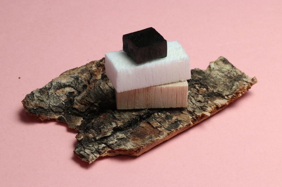 Natural, delignified and carbonized wood samples. Photo by Aalto University, Mithila Mohan, Maija Vaara