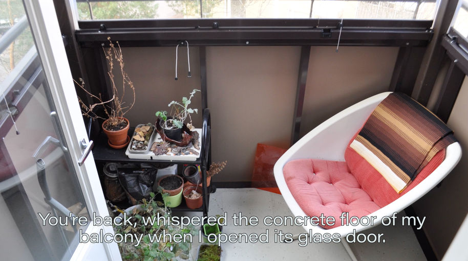 A closed balcony with a chair on it and a shelf with gardening things and two plants in plant pots