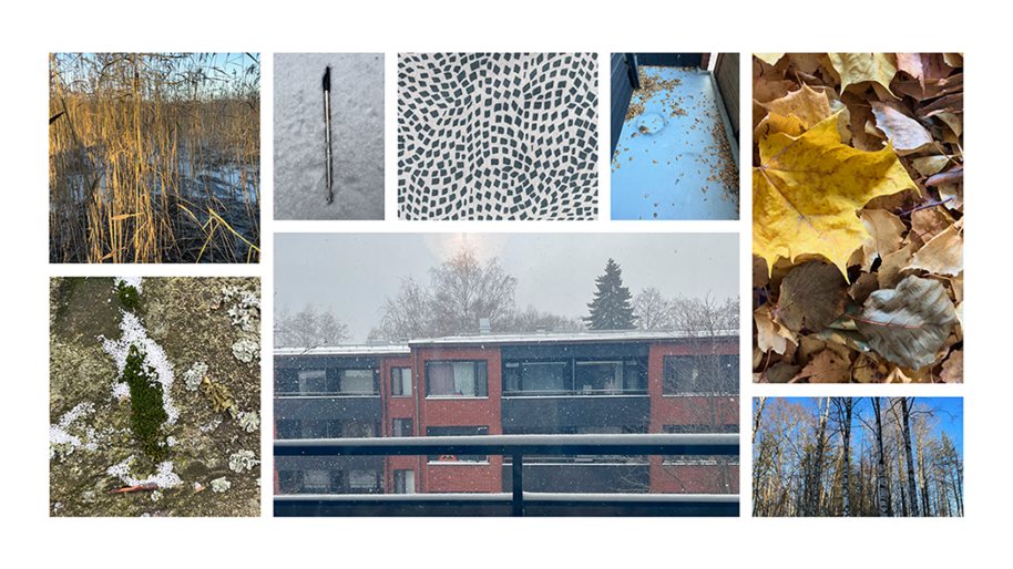 Collage of images: coasrtal vegetation, pen in snow, mosaic floor, dry leaves, moss on rock, residential building in snow, blue sky and forest