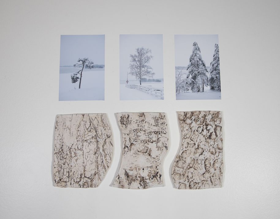 Three images of trees in the snow, underneath three bark textured ceramic pieces