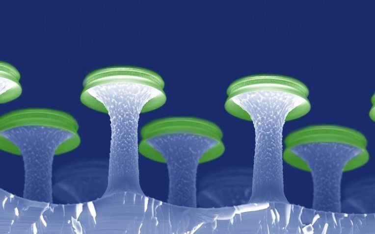 CHEM_Microfabrication group_Serif-T mushrooms