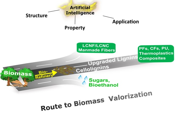 This image shows the route to biomass valorization informed by artificial intelligence.