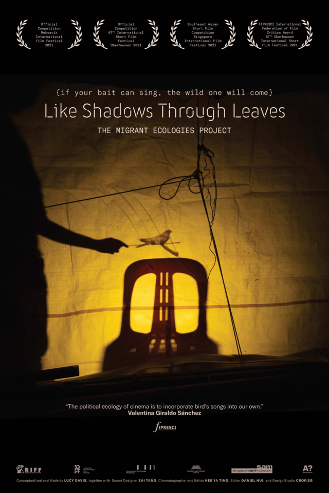 Like Shadows Through Leaves, The Migrant Ecologies Project (2021)