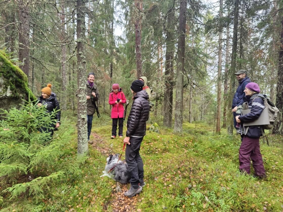 Live Open Forest walk through the Sipoonkorpi National Park, Finland (image credit: Markéta Dolejšová).