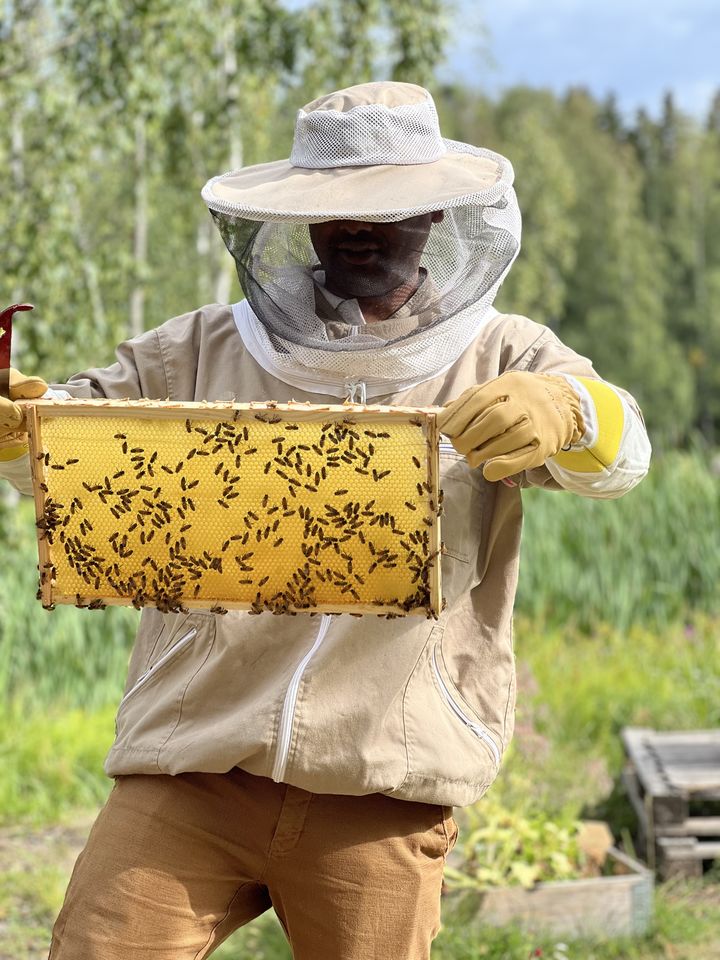Beekeeping on Campus