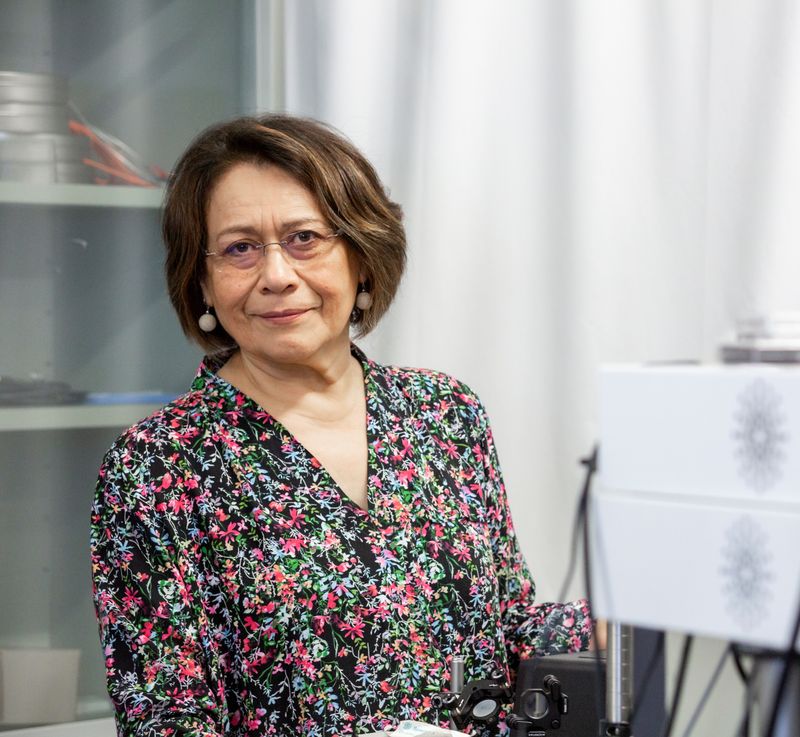 Professor Clivia Sotomayor-Torres