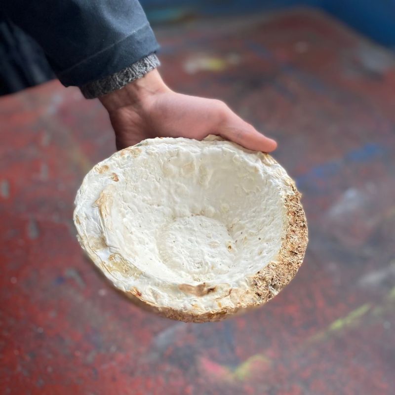 A bowl made of mycelium material. Photographer: Harvey Shawn